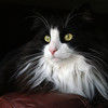 jacki091952
